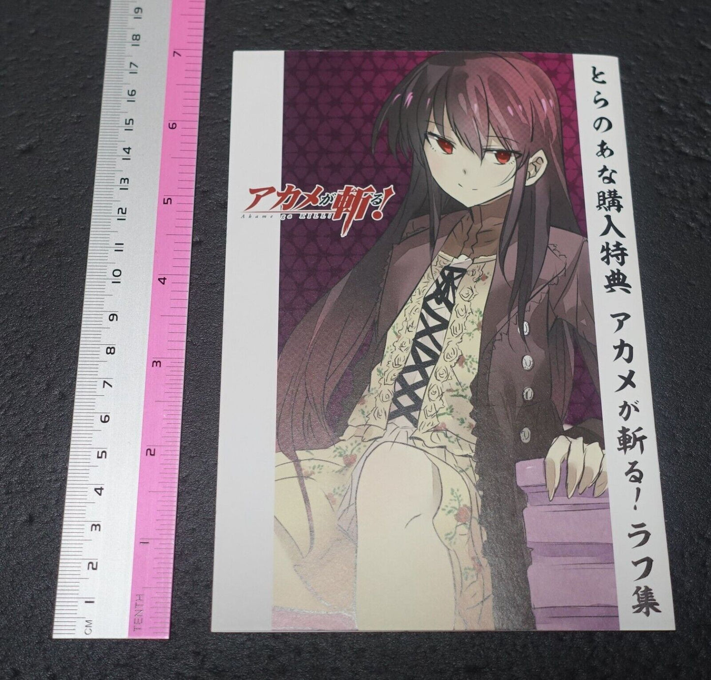 Tetsuya Tashiro Akame ga Kill! Rought Illustration Art Mini Booklet D 8page 