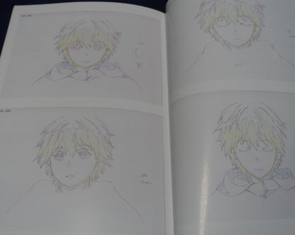 Animation Grimgar of Fantasy and Ash Key Frame Art Book 