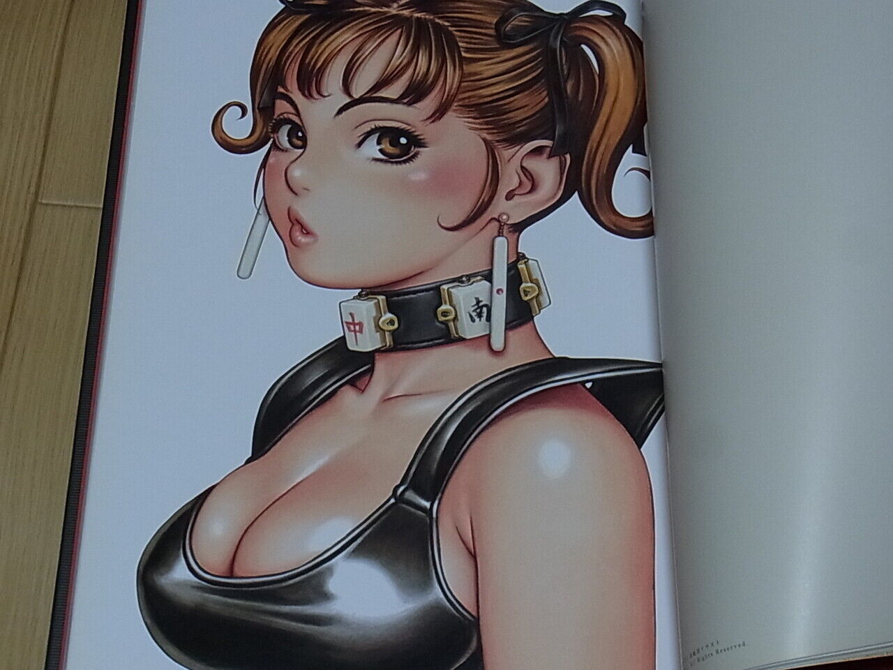 Tsukasa Jun Hard Cover Art Book Tsukasa Bullet 