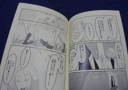Sikatore Houseki no Kuni Land of the Lustrous Fan Made Comic Hakase no Aishita 