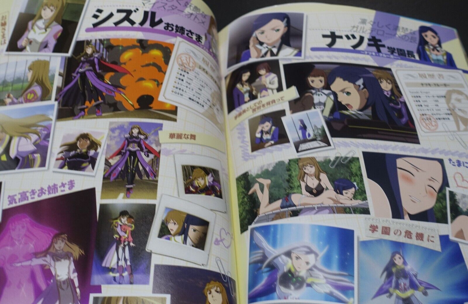 Mai-Otome Official Visual Art Book Garderobe Scoop Book Mai-Hime 