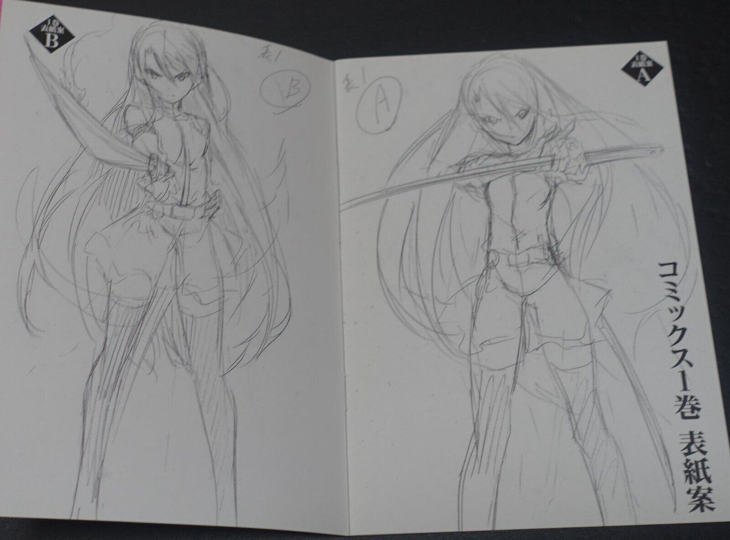 Akame ga Kill! Zero Rough Illustration Art Mini Booklet D 8page 