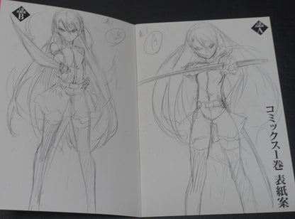 Akame ga Kill! Zero Rough Illustration Art Mini Booklet D 8page 