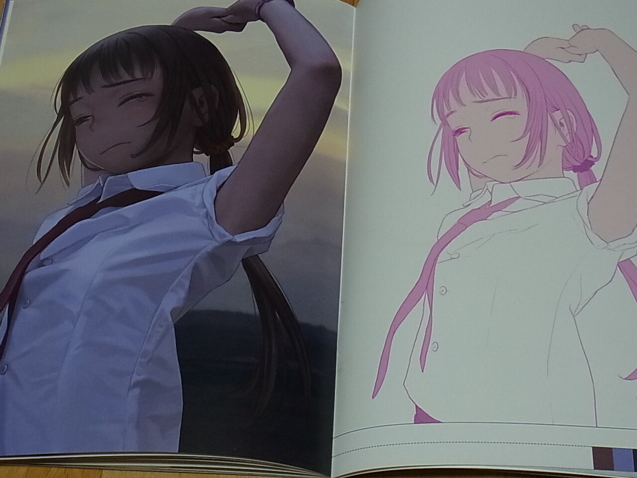 RANGE MURATA Color Art Book answer to the question C91 