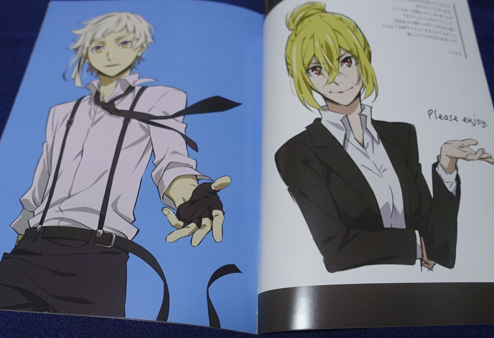 Kohei Tokuoka Bungo Stray Dogs Art Director's Fan Art Book STRAY HEART 