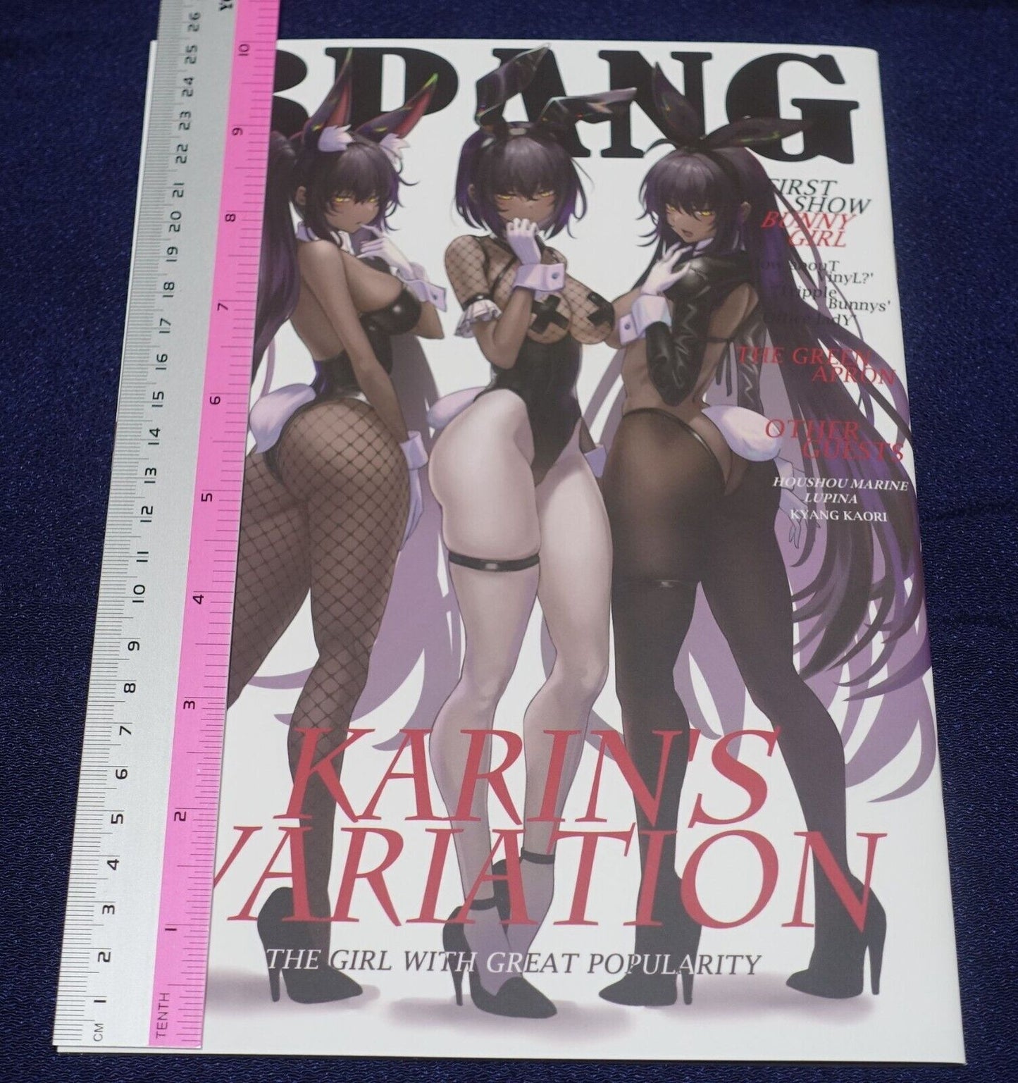 Choco Cookie Blue Archive Fan Art Book KARIN'S VARIATION C101 