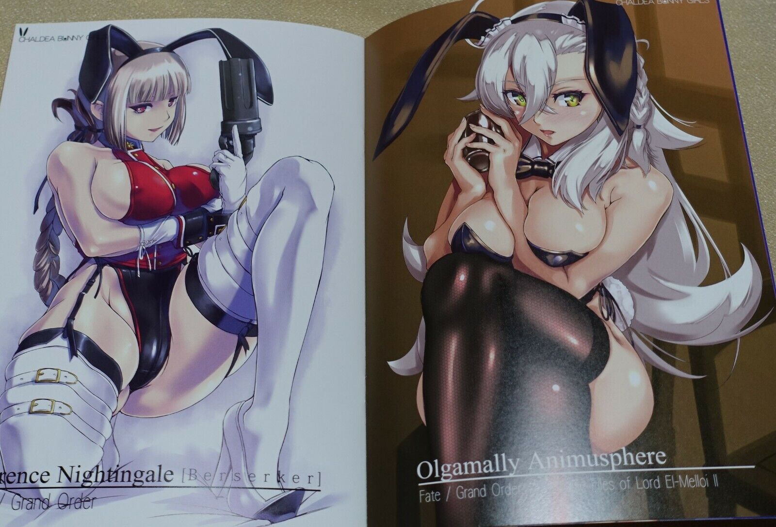 Nenchi Fate FGO Competition Swimsuit & Bunny Girls Color Fan Art Book Set 