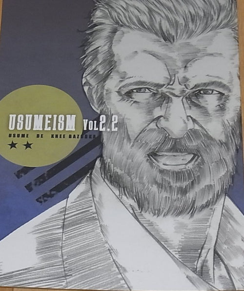 Japanes Animation illustrator's Anima Fan Art Book USUMEISM vol 2.2 C93 