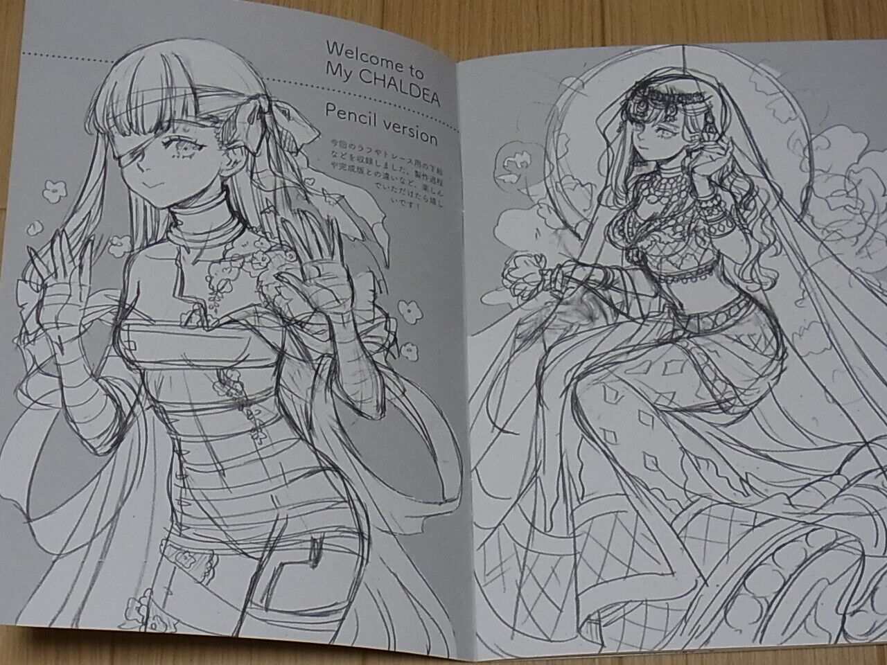 Sakizo Fate FGO Rough Fan Art Biij WELCOME TO MY CHALDEA! 