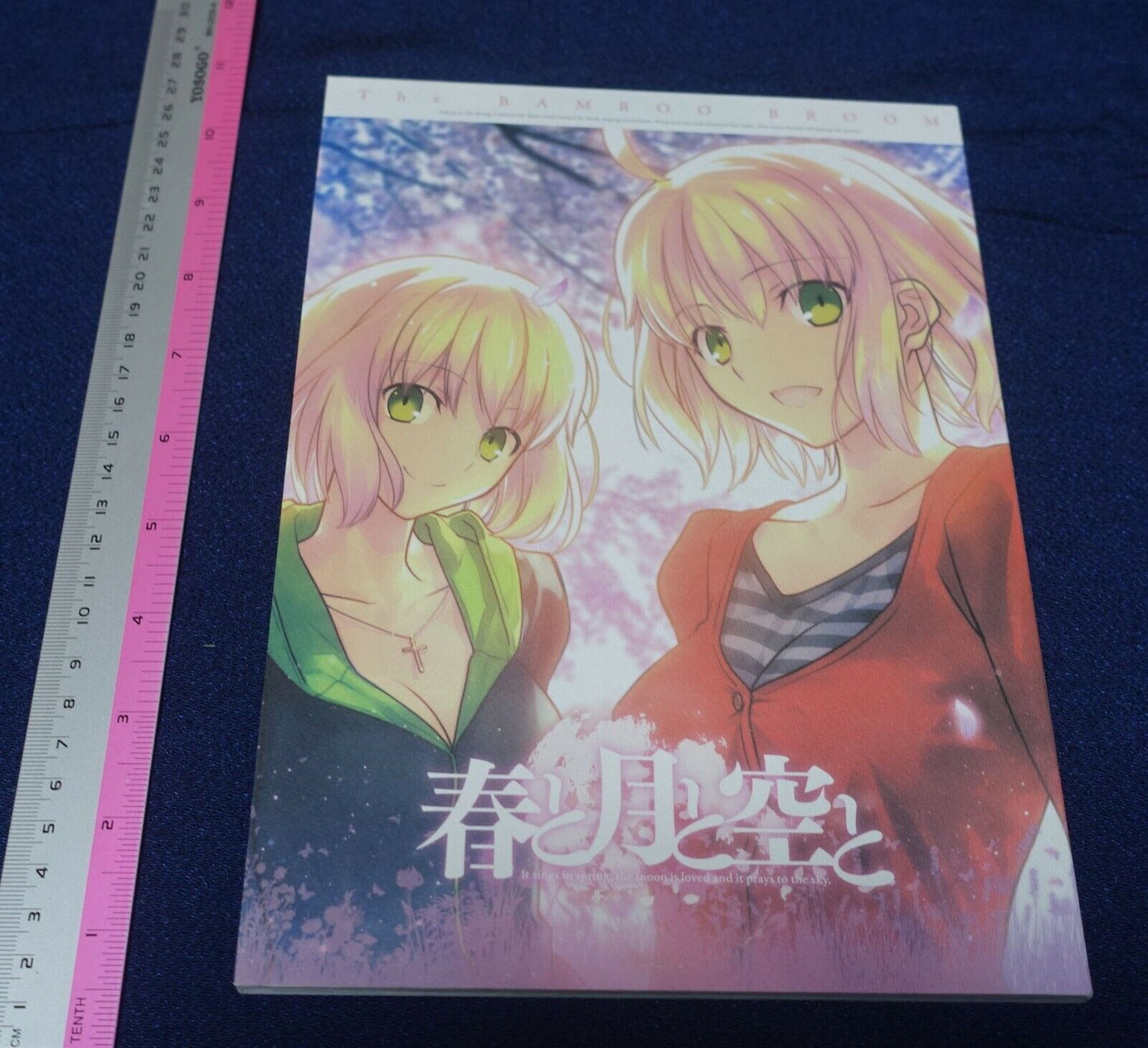 Takashi Takeuchi Take Ho-ki Illustration Art Book The BAMBOO BROOM 