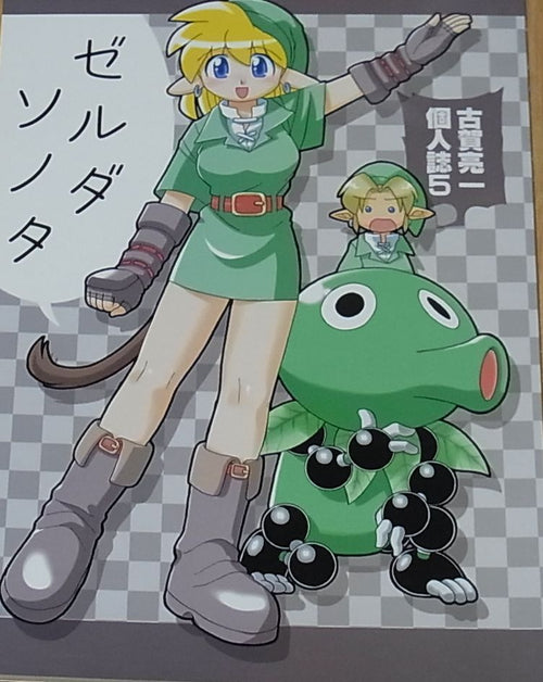 Ryouich Koga LEGEND OF ZELDA Fan Doujinshi Zelda Sonoda 
