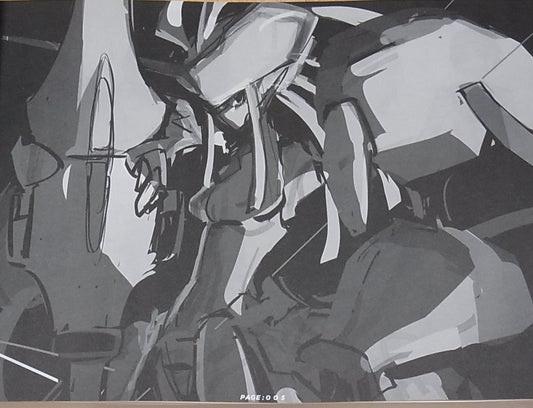 The Art of DIF Vol.XX DARLING in the FRANXX Design Art Book 132 page C95 