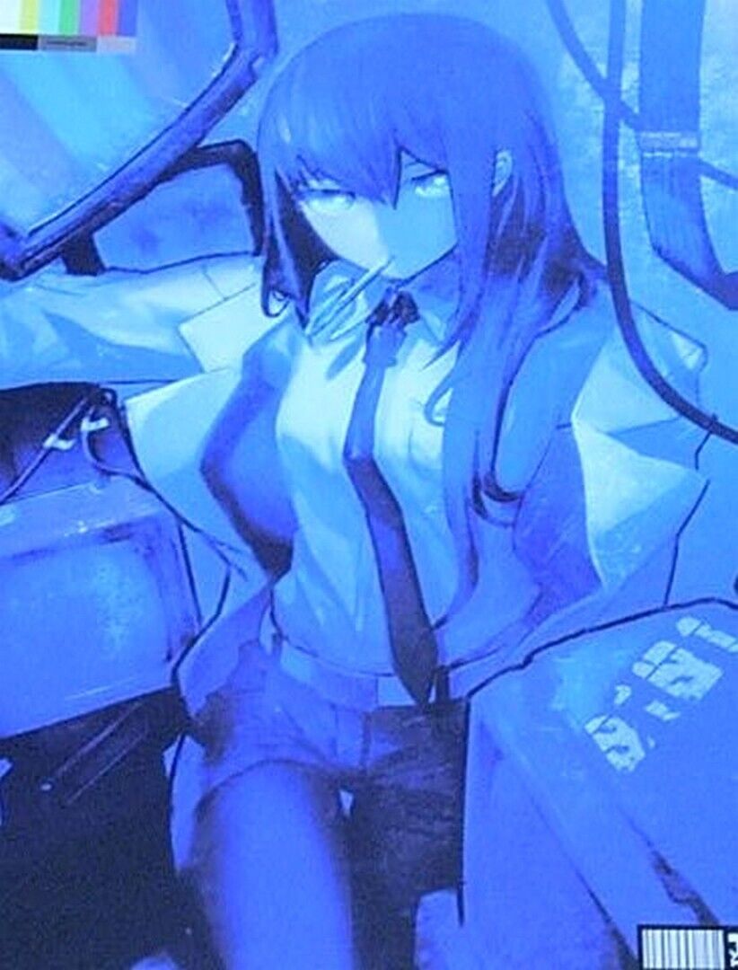 huke Color Art Book STEINS GATE VISUAL WORKS 