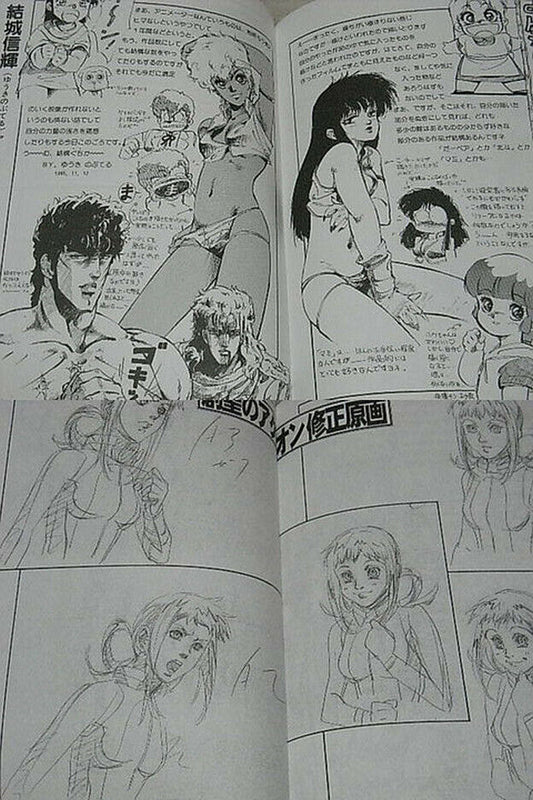 NOBUTERU YUUKI Animation Works and Illustrations Touhon 