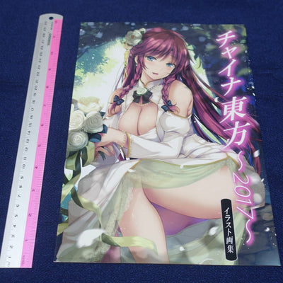 Monety Touhou Color Fan Art Illustration Book China TOHO 2017 