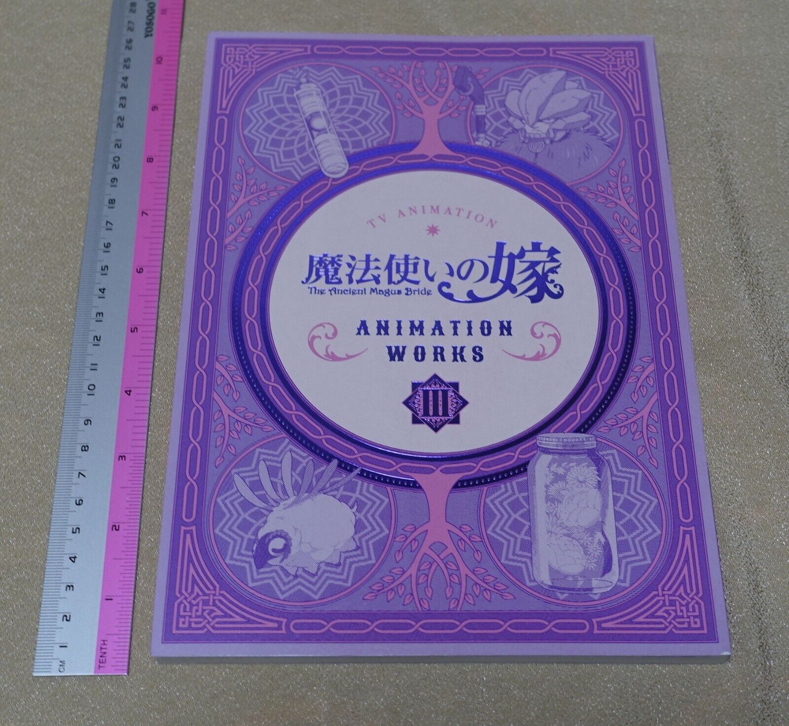 WIT STUDIO The Ancient Magus Bride Mahou Tsukai no Yome TV Animation Works 3rd 