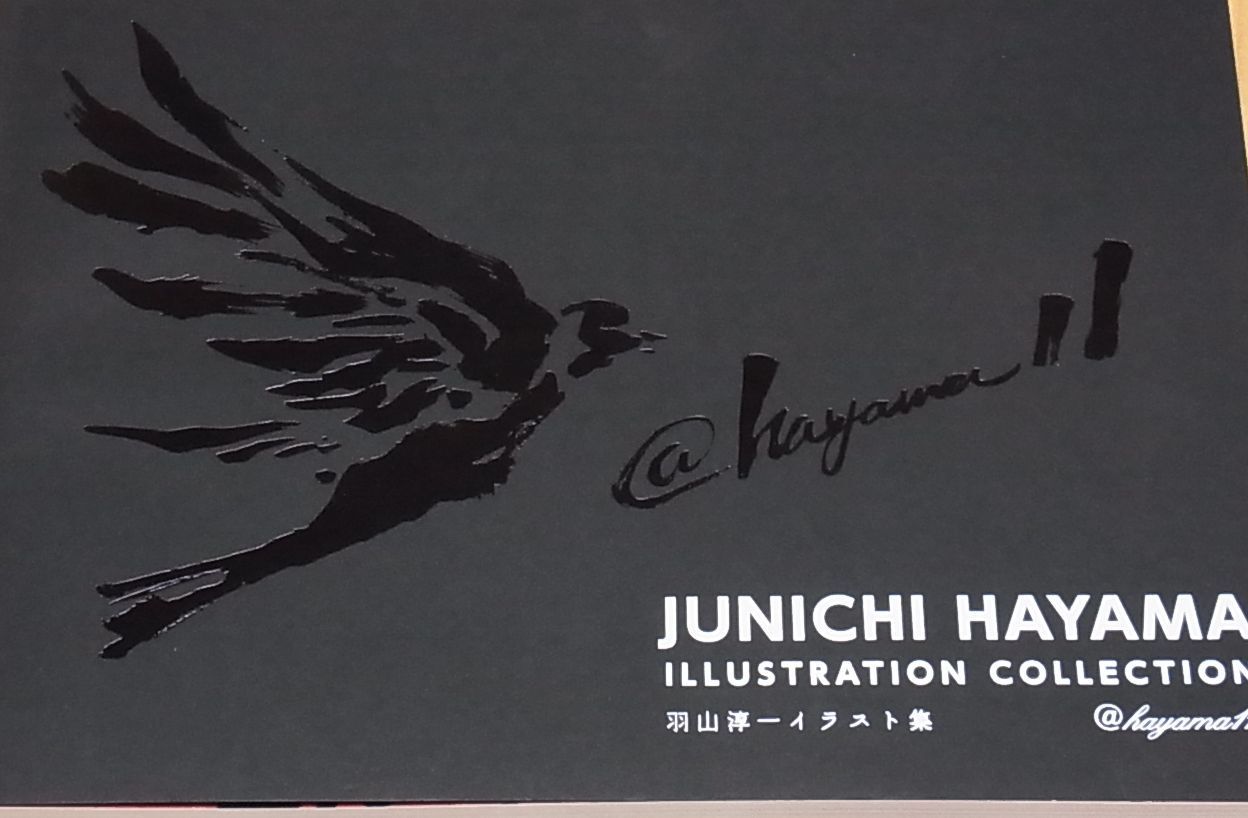 JUNICHI HAYAMA ILLUSTRATION COLLECTION 156page 