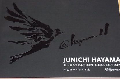 JUNICHI HAYAMA ILLUSTRATION COLLECTION 156page 