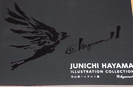 JUNICHI HAYAMA ILLUSTRATION COLLECTION 156page 