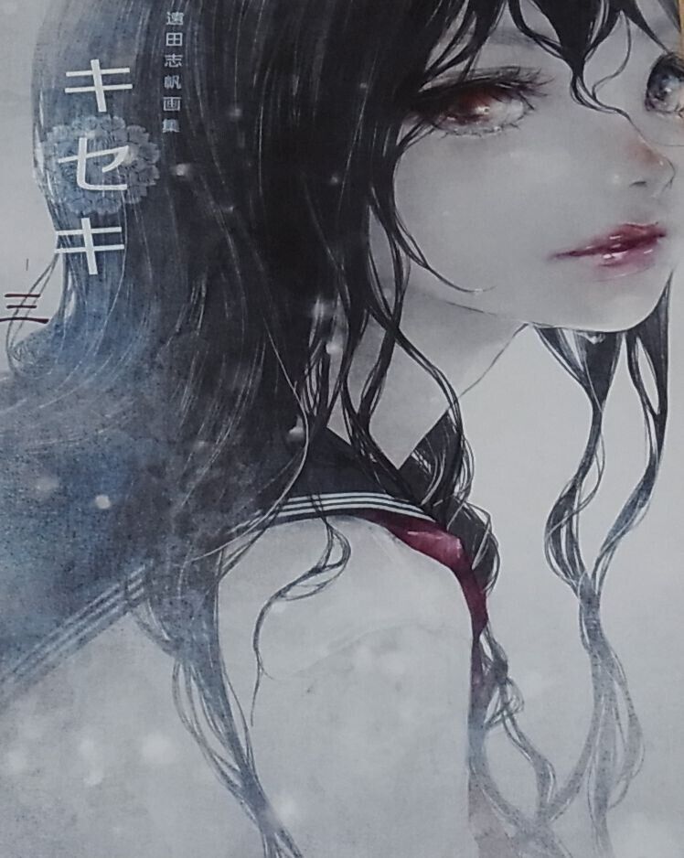 SHIHO ENTA COLOR ART BOOK Kiseki 3 