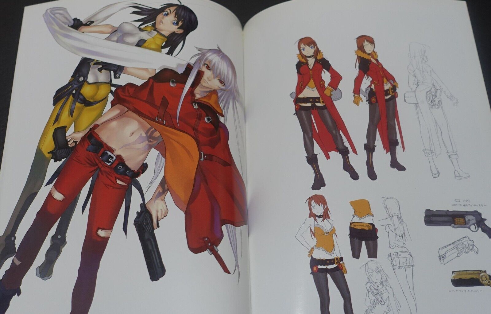 Ugetsu Hakua yellow tag Art Book Parhelia flagment 2 
