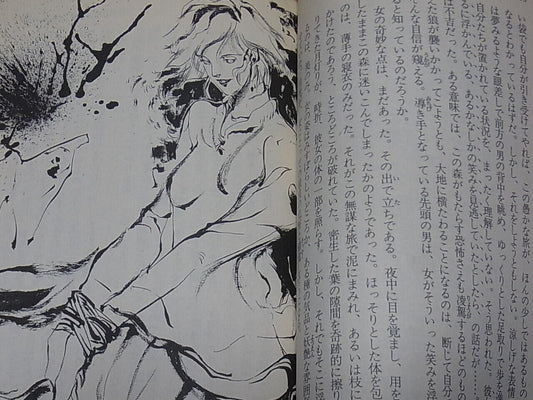 NOVEL Akumajyou Dracula Akuma no Chi Chi no Akumu Vol.1 Castlevania 