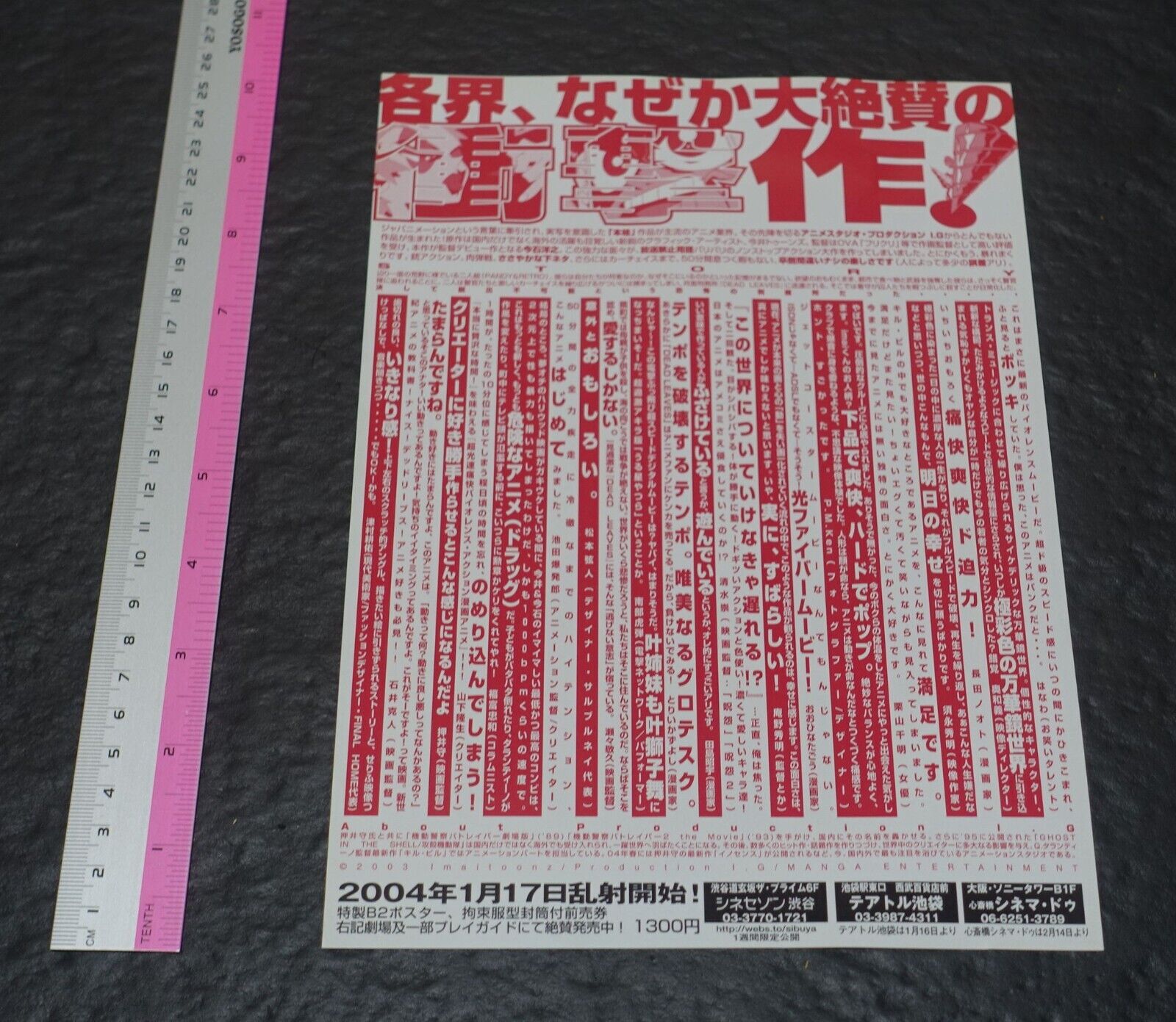 Dead Leaves Movie Promo Flyer 