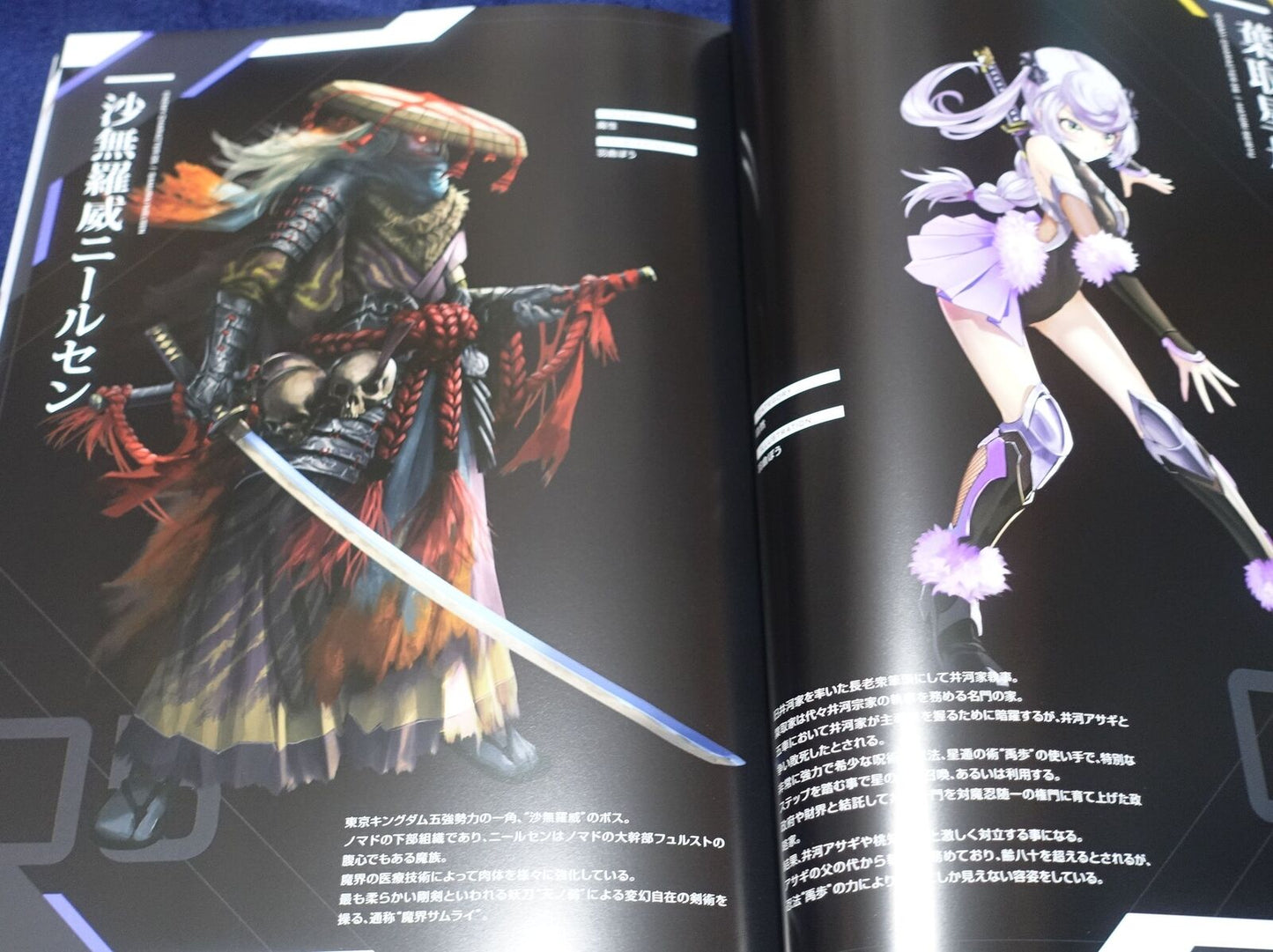 Lilith TAIMANIN RPGX CHARACTER VISUAL ART BOOK Vol.06 ASAGI C100 