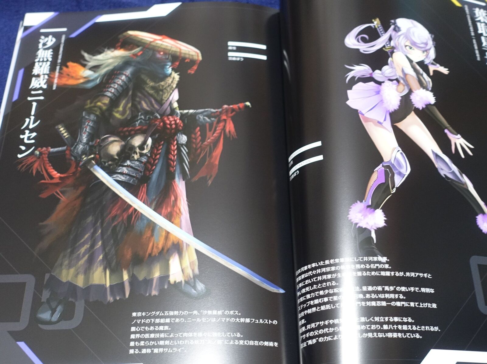 Lilith TAIMANIN RPGX CHARACTER VISUAL ART BOOK Vol.06 ASAGI C100 