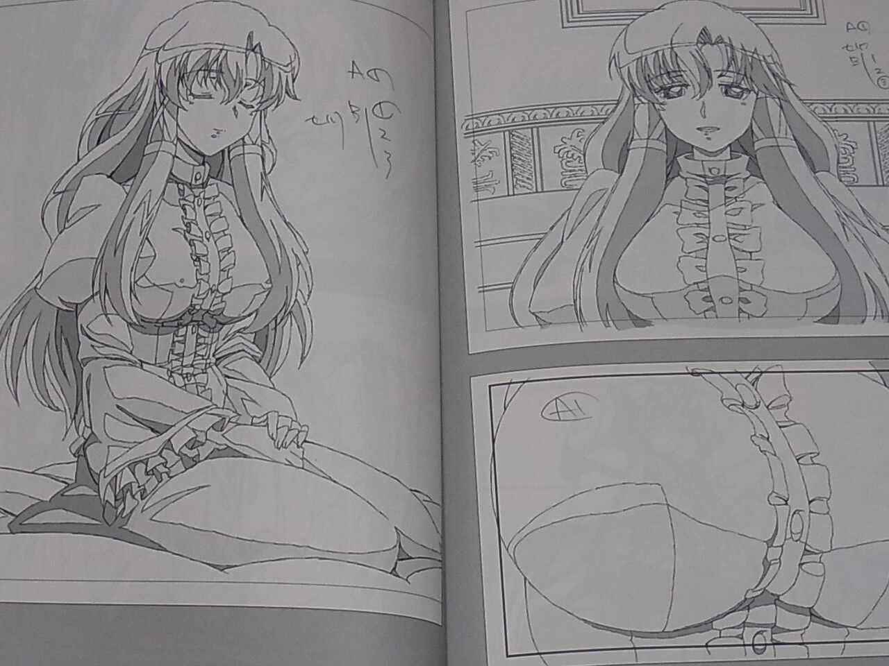 Shingo Fujii Animation Keyframe art works The Familiar of Zero Tsukaima C92 