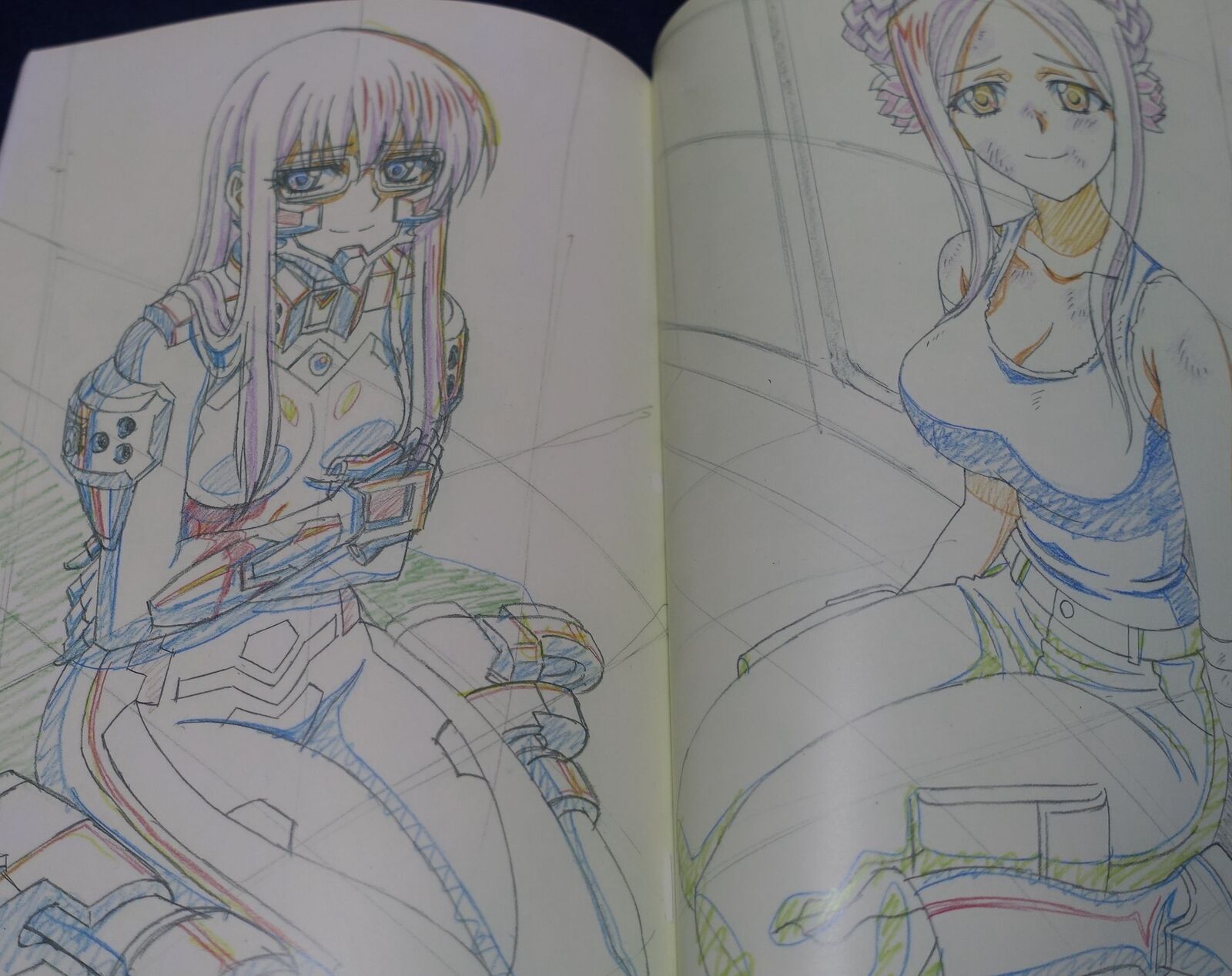 Harasyu Muv-Luv Schwarzesmarken Animation Staff's Art Book 