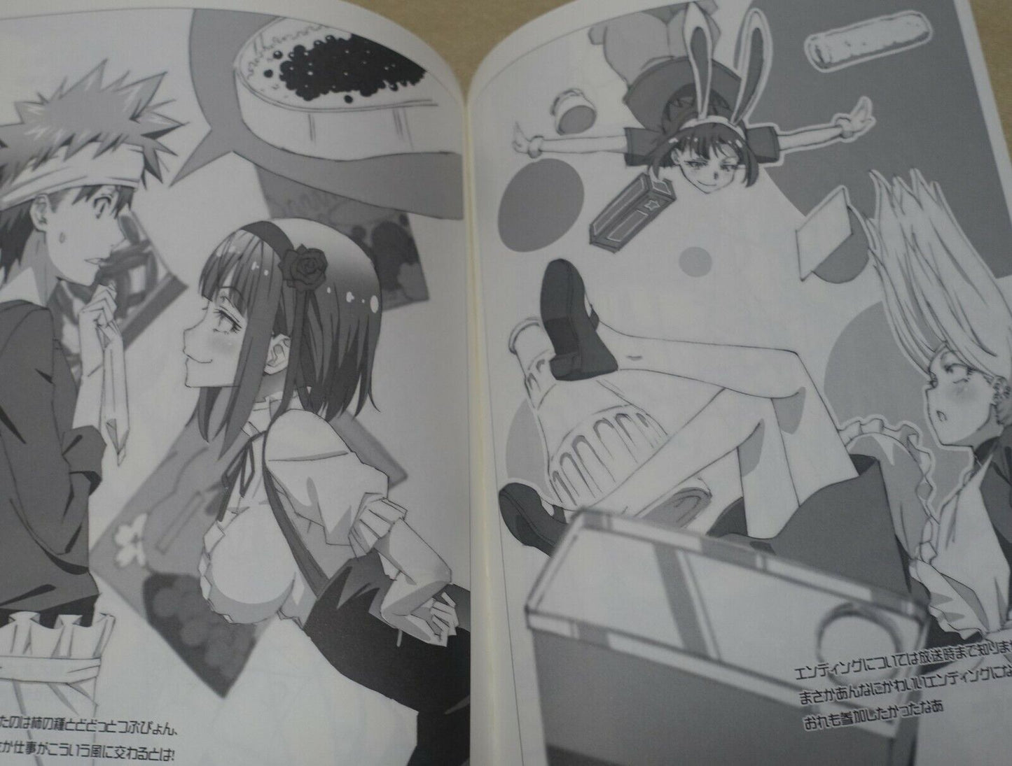 Dagashikashi Animation staff's Fan Art Book Dagashikashi Rough Book 