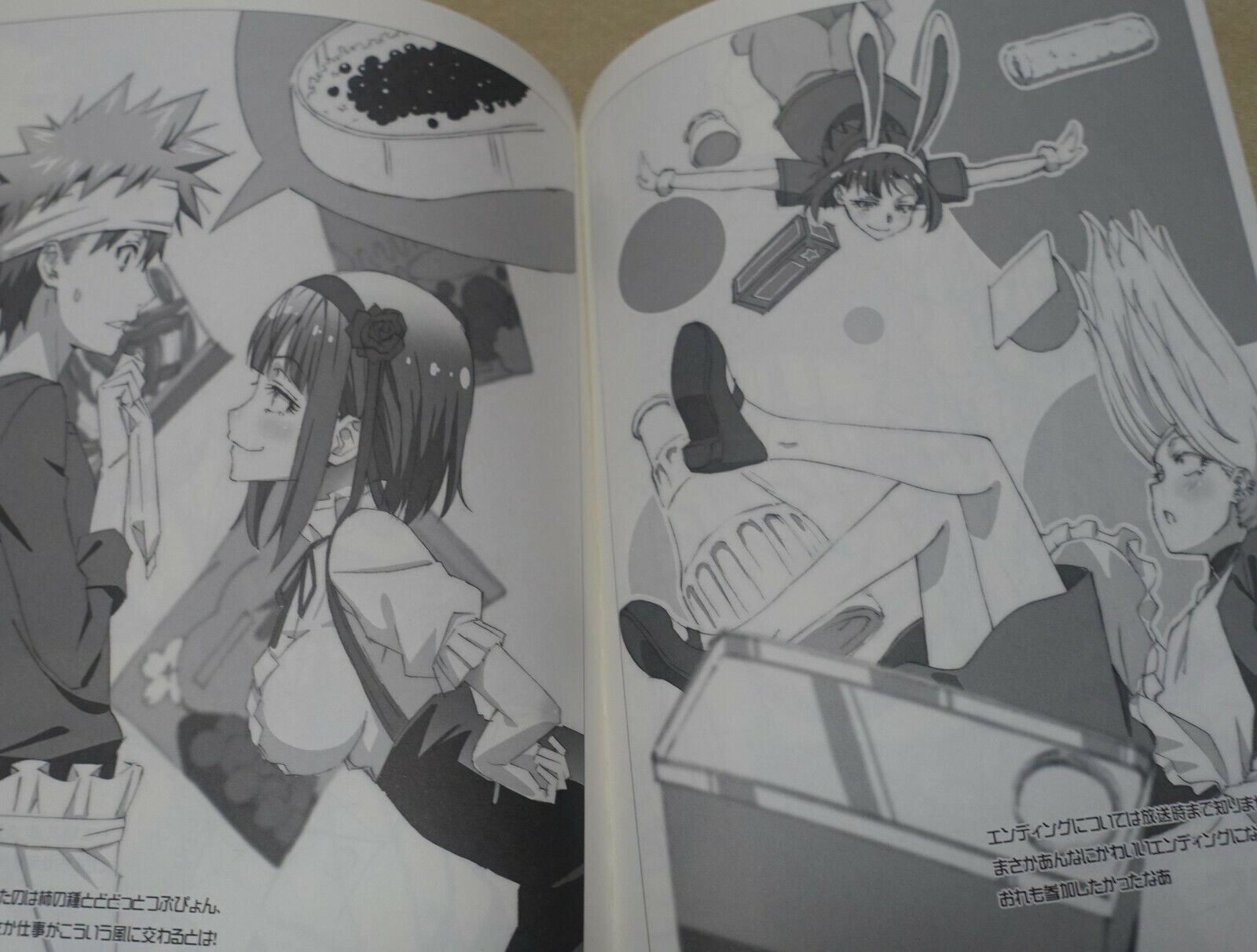 Dagashikashi Animation staff's Fan Art Book Dagashikashi Rough Book 