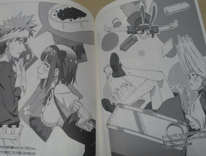 Dagashikashi Animation staff's Fan Art Book Dagashikashi Rough Book 