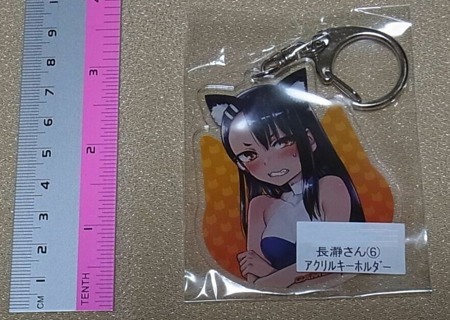 Don't Toy With Me, Miss Nagatoro SP book cover for vol.6 & Key Chain 