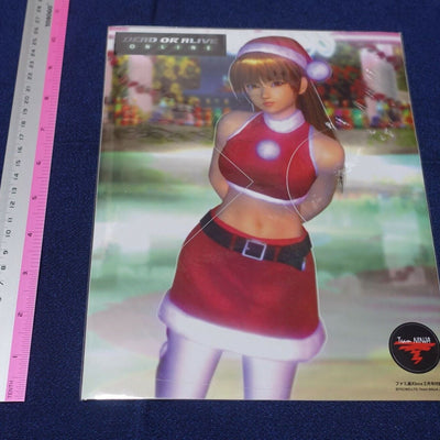 Dead or Alive Sticker Sheet Kasumi Santa Costume 