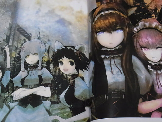 STEINS GATE ILLUSTRATIONS COLLECTION Art & Comic , Novel Huke etc 