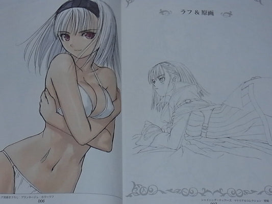Tony Tony's Line ART works Vol.1 Shining Series 