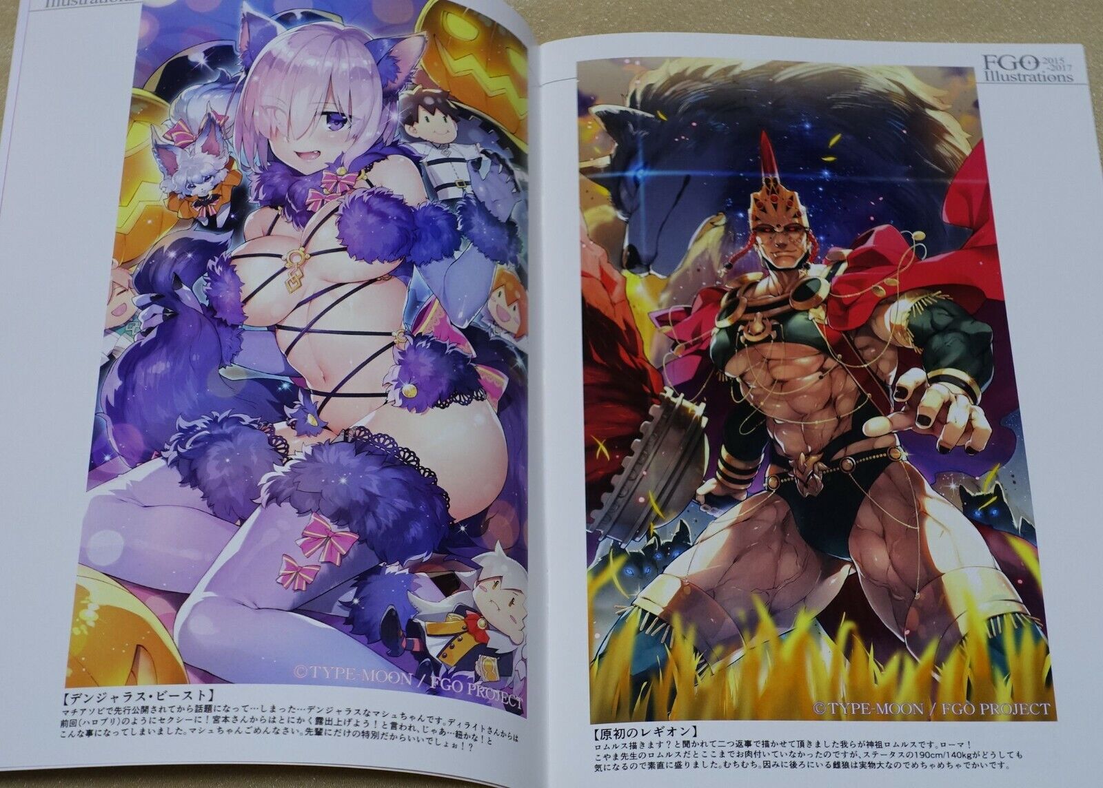 ReDrop Fate FGO Color Fan Art Book FGO Illustrations 1-6 Complete Set 