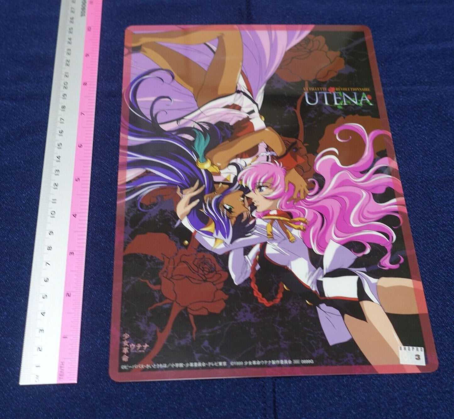GIRL'S REVOLUTION UTENA PVC Art Board A 