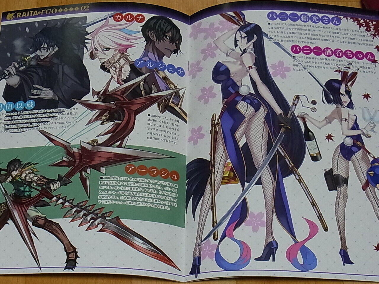 Raita Fate FGO Designer's Fan Art Book RAITA no Rakugaki hon02 