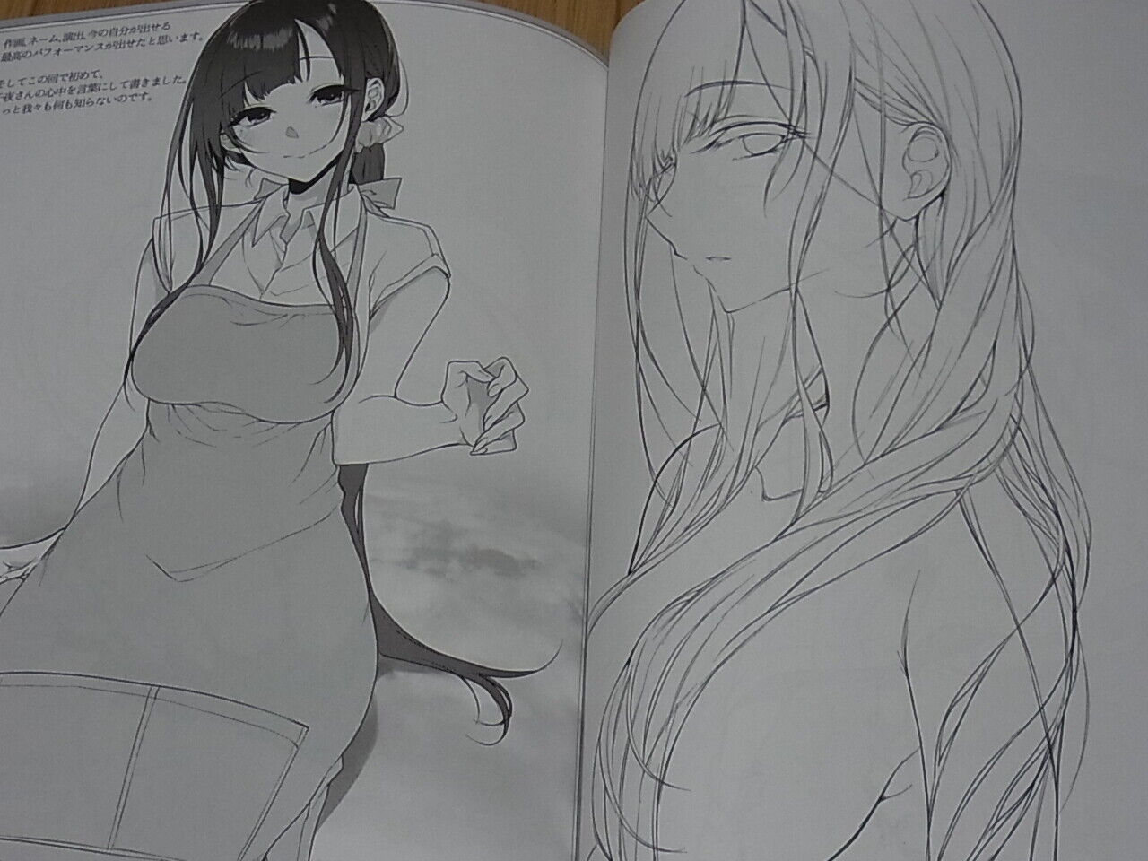 Pochi Iida The Elder Sister Like One Illustration Art Book Ane Naru Mono 7.5 