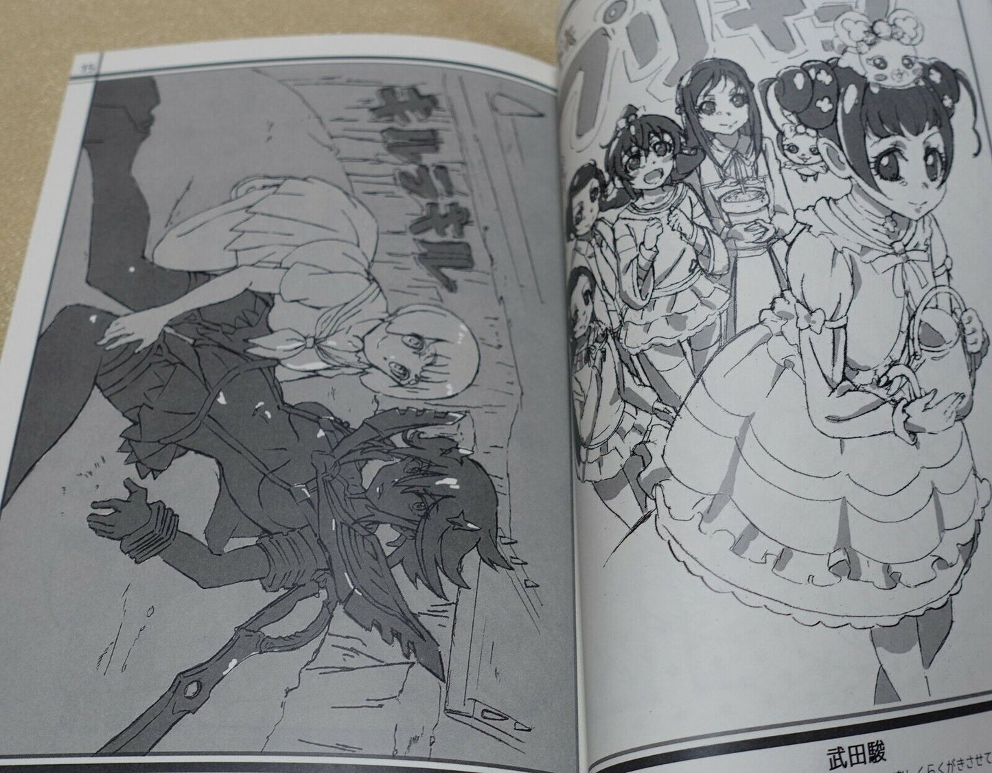Nagareboshi Animation Illustrators Fan Art Book Hissatsumaeba vol.1 
