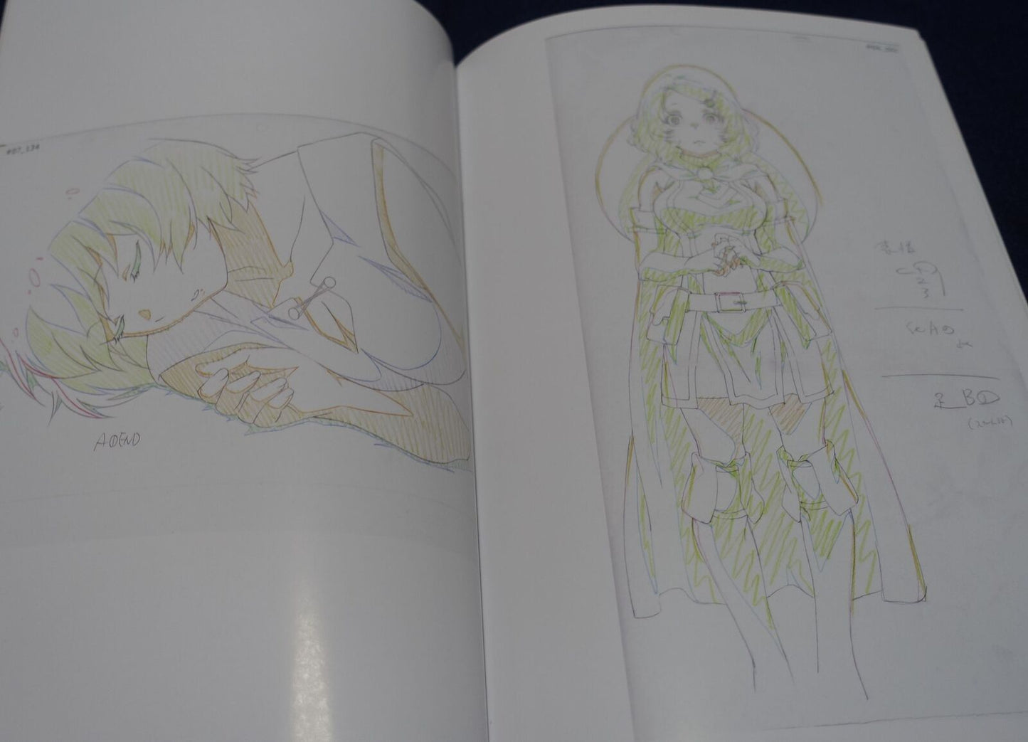 Animation Grimgar of Fantasy and Ash Key Frame Art Book 