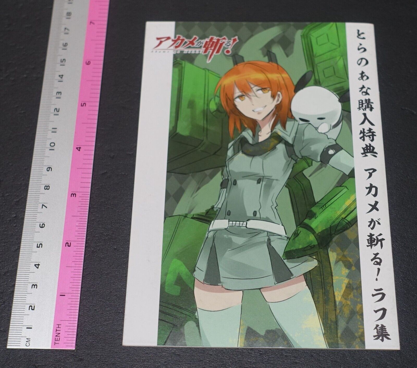 Tetsuya Tashiro Akame ga Kill! Rought Illustration Art Mini Booklet A 8page 