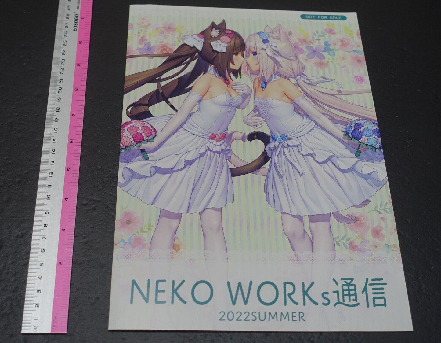 Nekopara Comic Market 100 Goods Set C100 