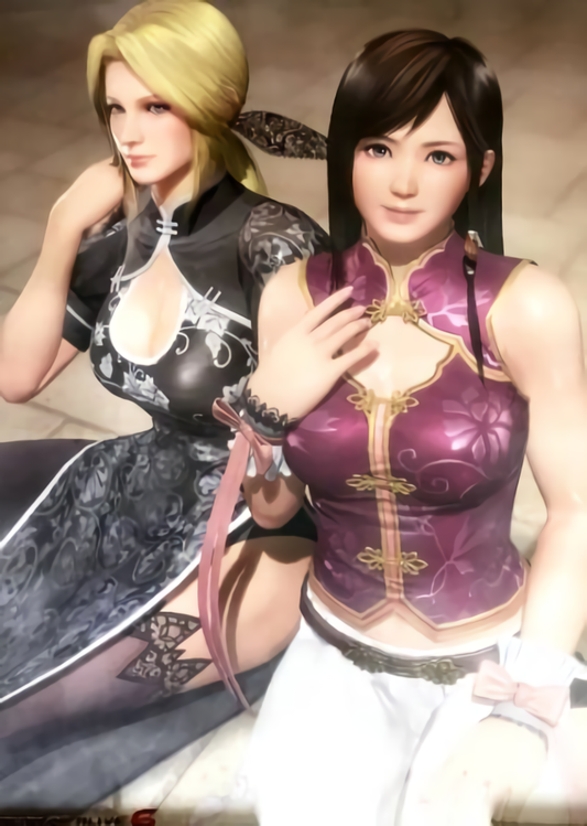 DEAD OR ALIVE 6 B2 Big Size Bath Room POSTER Helena & Kokoro DOA6 