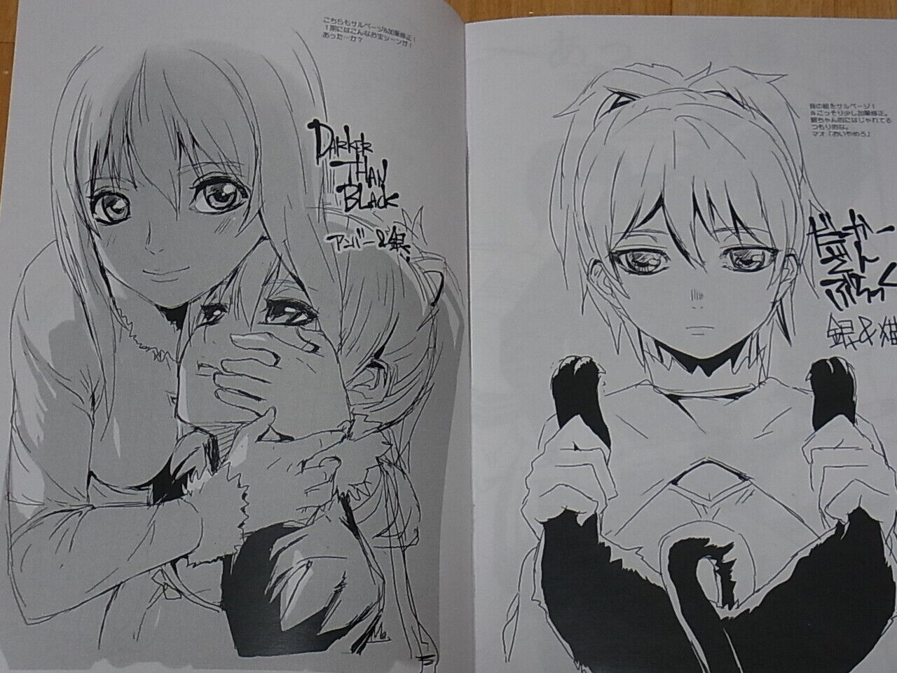 MUSHIRINGO DARKER THAN BLACK Gemini of the Meteor Fan Art Book 