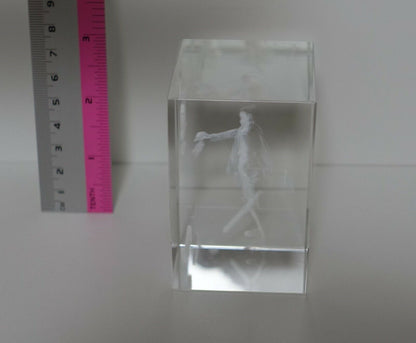 Attack on Titan Levi 3D Art Crystal USJ exclusive 