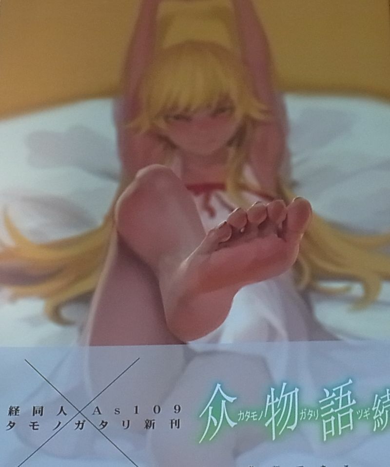 Seikei Doujin Bakemonogatari Fan Art Book Katamonogatari 